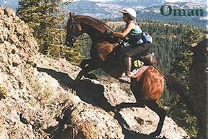 Oman & Carolyn, Tevis 1-day 100 mile Endurance Ride